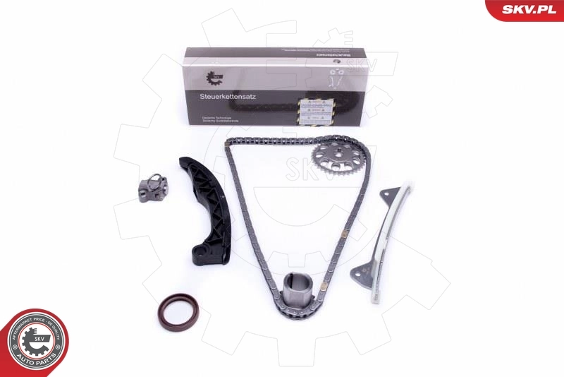 Timing Chain Kit